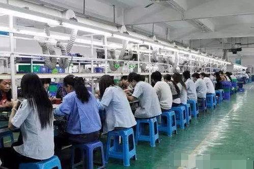 無(wu)學歷(li)無(wu)技術(shu)背景下(xia)的職(zhi)業(ye)新(xin)選擇(ze) 技術(shu)推(tui)廣(guang)崗(gang)位(wei)的可(ke)行性分析(xi)