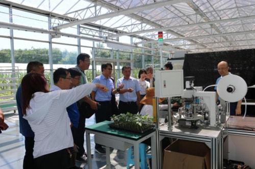 技術推廣(guang)助(zhu)力曲(qu)堤黃瓜產(chan)業(ye)發(fa)展(zhan)，農(nong)民增(zeng)收(shou)邁上新(xin)臺(tai)階