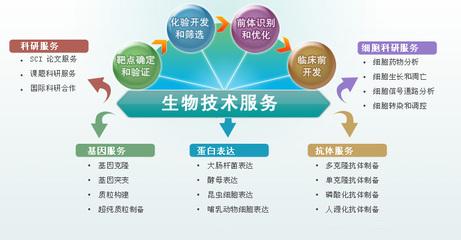 技(ji)術(shu)研發(fa)服務與技(ji)術(shu)推(tui)廣(guang) 創(chuang)新價值(zhi)鏈(lian)的雙驅動(dong)